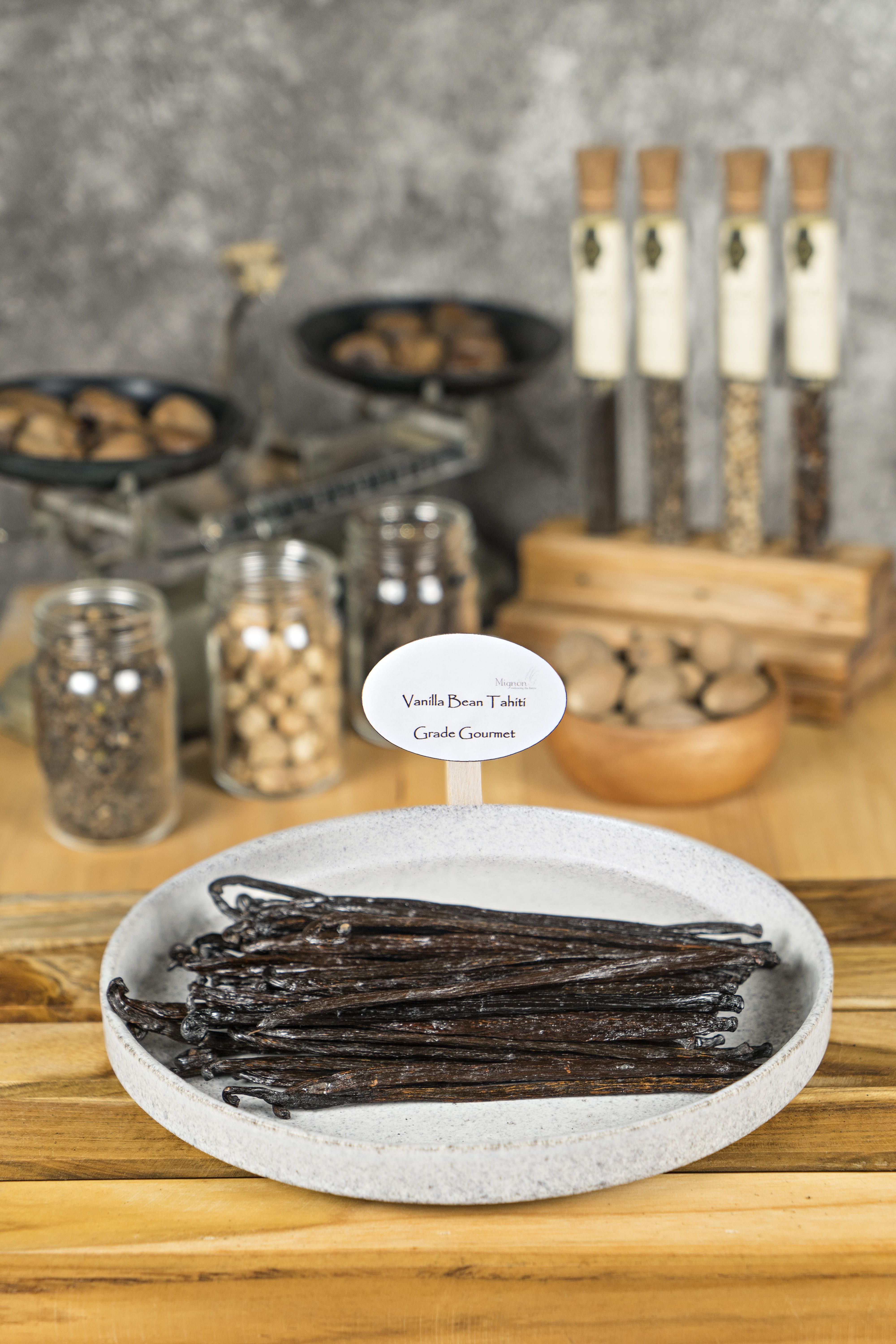 Vanilla Bean Tahitensis